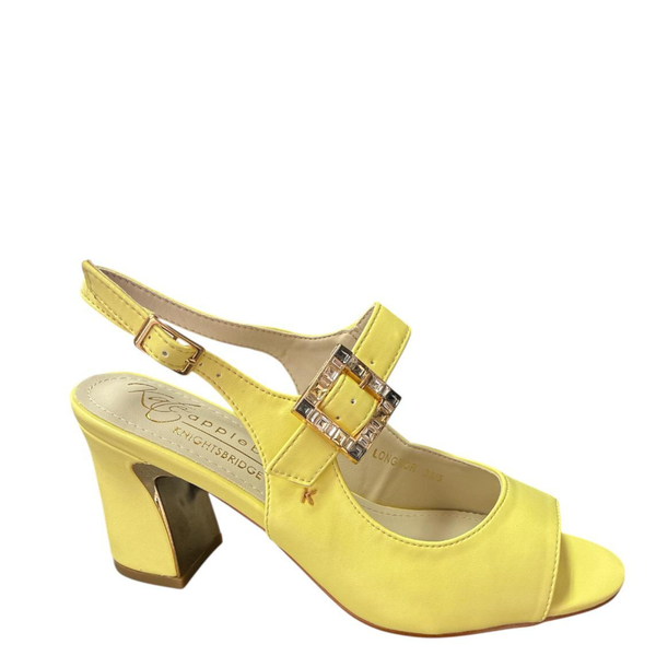 Kate Appleby longnor sunflower