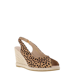 Kate Appleby Tregele Leopard S