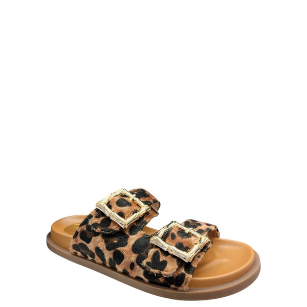 Kate Appleby Duxford Leopard